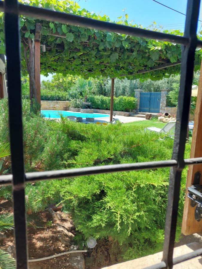 The Cocoon And Olives Hut וילה