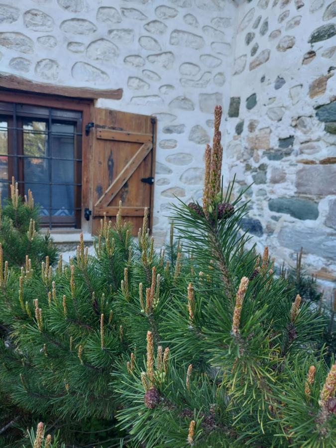 The Cocoon And Olives Hut