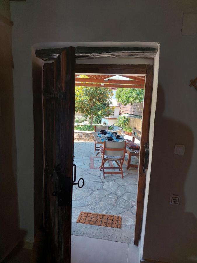 The Cocoon And Olives Hut *