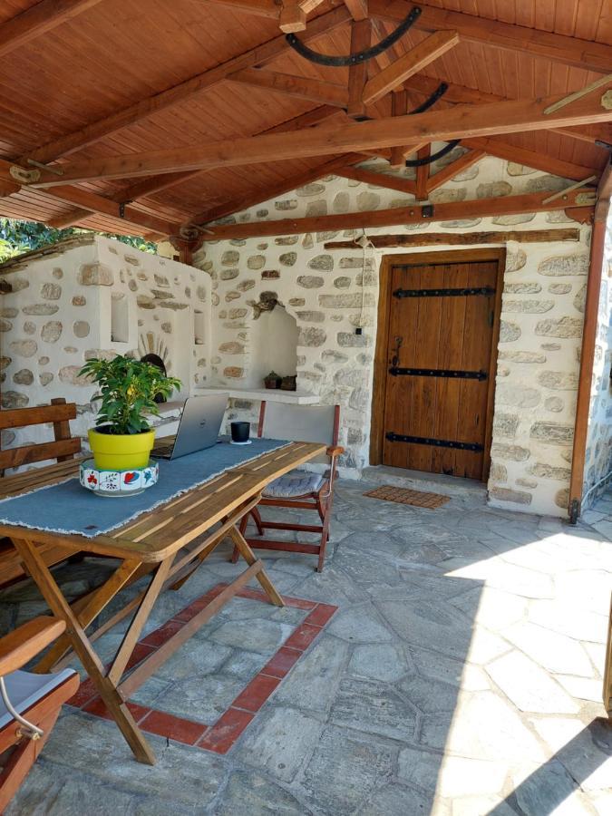 The Cocoon And Olives Hut *