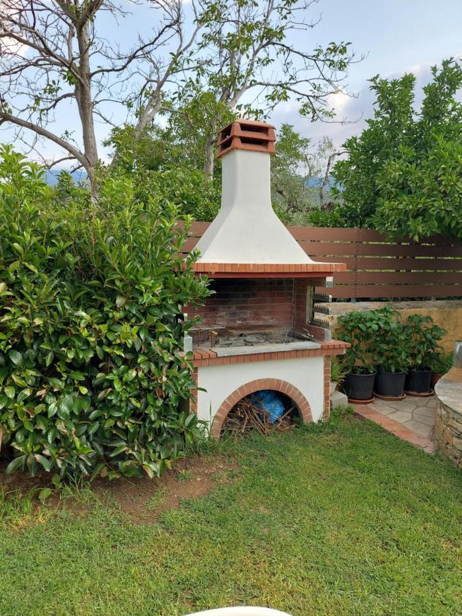 Villa The Cocoon And Olives Hut Koropi